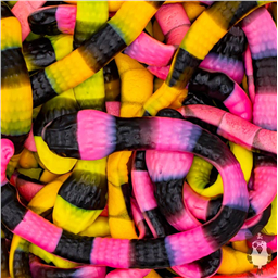 Большой змей БОА, 50 гр