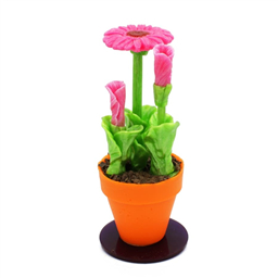 Карамель Герберы в горшке, Гигант, 1 шт, 450gr