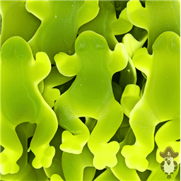 Лягушка гигантская, 2 шт,76 гр