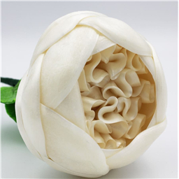 Гигантский Пион, 1 шт, 330 gr 